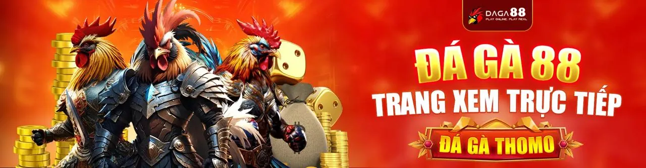 Đá Gà Trực Tuyến 33Winn